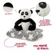 Panda bear Soft blanket + plush toy 22cm