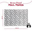 Panda bear Soft blanket + plush toy 22cm
