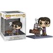 Funko Pop!  Harry Potter Pushing Trolley 135