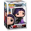 Funko Pop! Titans: Raven 1513