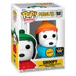 Funko Pop! Peanuts: 1681 (1τμχ - Τυχαία Επιλογή 1:6 Chase)