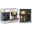 Funko Pop! Harry Potter Diagon Alley Rubeus Hagrid The Leaky Cauldron Exclusive 141