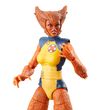 Marvel Legends Series Wolfsbane figure 15cm 5010996222428