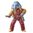 Star Wars Skeleton Crew Neel At Attin figure 15cm 5010996274939