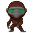 FUNKO POP Godzilla vs. Kong 2 Suko 75928