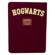LOUNGEFLY Loungefly Harry Potter Gryffindor journal