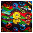 Loungefly Sesame Street Cookie Monster Plush backpack + purse 671803536524