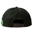 Harry Potter Slytherin snapback cap