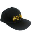 Harry Potter embroidery cap 5904009022337