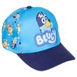 Bluey cap 18445484351498