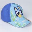Bluey assorted cap 18445484351252