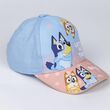Bluey assorted cap 18445484351252