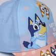 Bluey assorted cap 18445484351252
