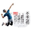 Haikyu!! Kotaro Bokuto figure 20cm 4983164897098