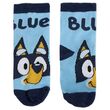 CERDÁ Bluey pack 4 assorted shocks