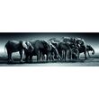 Clementoni Puzzle - High Quality Herd of Giants Panorama 1000pcs