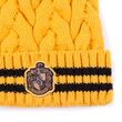 CERDÁ Harry Potter Hufflepuff hat
