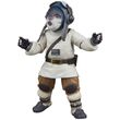 Star Wars The Acolyte Bazil Jedi Order Tracker figure 15cm 5010996282026