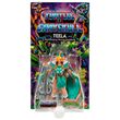 Masters of the Universe Turtles of Grayskull assorted figure 14cm HPR00-968C