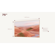TCL 75A300W NXTVISION QLED TV with Google TV and Private art museum gallery (2024)