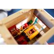LEGO HARRY POTTER 76437 The Burrow - Collectors’ Edition