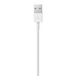 Apple Lightning to USB Cable (1В m)