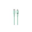 Havit CB6281 - USB Type C to Lightning cable, 1 m (green)