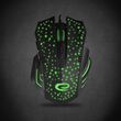 Esperanza EGM212 mouse USB Type-A Optical 2400 DPI Right-hand
