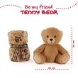 Teddy Bear Soft blanket + plush toy 22cm