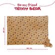 Teddy Bear Soft blanket + plush toy 22cm