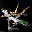 HG AMPLIFIED IMGN RYUOMARU