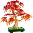 LEGO BOTANICALS 10348 Japanese Red Maple Bonsai Tree