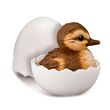 BANDAI Baby Bird assorted figure 7cm