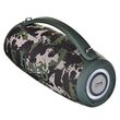 HOCO HA4 Surge Portable Speaker Blutooth/ FM/ TF card/ USB memory stick/ AUX 2 x 20 W Green