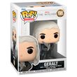 FUNKO POP figure The Witcher Geralt with Sword