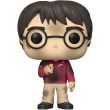 FUNKO POP figure Harry Potter Anniversary Harry with the Stone