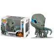 FUNKO POP figure Jurassic World 3 Velociraptors Blue & Beta