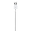 Apple Lightning to USB Cable (0.5 m)