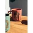ERIK Harry Potter set of 4 mugs 300ml