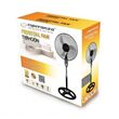 Esperanza EHF002KE household fan Black