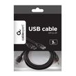 Gembird 3m USB 2.0 A M/FM USB cable USB A Black