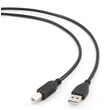 Gembird CCP-USB2-AMBM-6 USB cable 1.82 m USB A USB B Black
