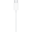 Apple EarPods (USB-C) New
