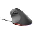 NATEC Crake 2 Pro mouse Universal Right-hand USB Type-A Optical 12800 DPI