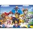 CLEMENTONI Paw Patrol puzzle 30pcs