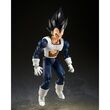 TAMASHII NATIONS Dragon Ball Z Vegeta Old Vattle Clothes S.H Figuarts figure 14cm