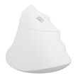 NATEC Crake 2 mouse Universal Right-hand RF Wireless + Bluetooth Optical 2400 DPI