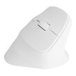 NATEC Crake 2 mouse Universal Right-hand RF Wireless + Bluetooth Optical 2400 DPI