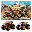 MATTEL Hot Wheels Monster Trucks assorted pack 2 demolition doules