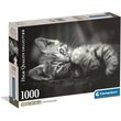 CLEMENTONI High Quality Kitty puzzle 1000pcs
